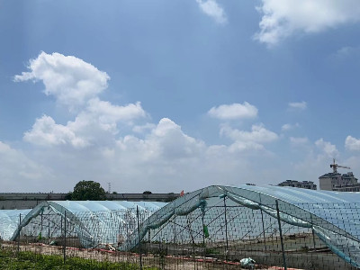 恩拓博高速增氧機(jī)上海使用案例！